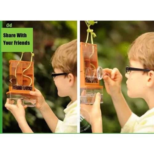 Kids Observing Plant Growth In Photosynthesis Science Looking For During Education Science Experiment Physics Toys For Children