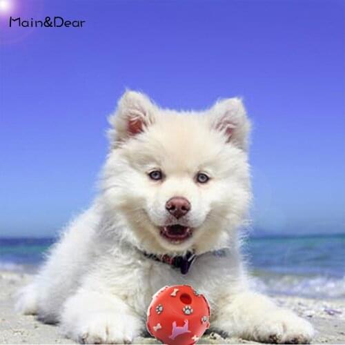 Main&Dear Products For Dogs
