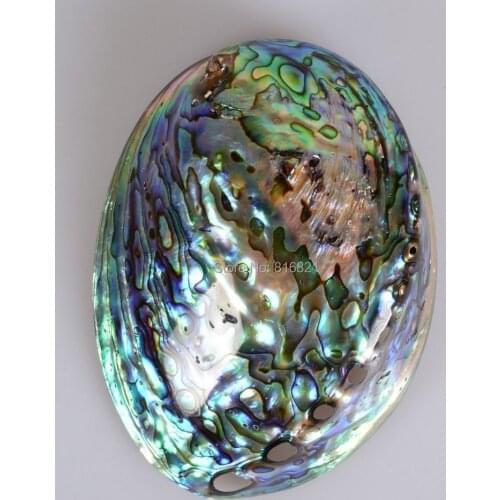 New Polished Natural Rainbow New Zealand Abalone Seashell MOP Abalone Shell Collectibles Displays Dector Craft 4.5" - 5"