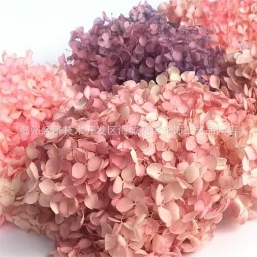 Hydrangea Jewelry Pendant Earrings Hairpin DIY Mobile Phone Shell Jewelry Frame Dried Flower Material