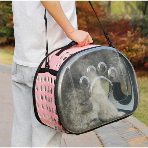 Transparent Pet Bag Fashion Cat Bag Oblique Cross Pet Out Bag Foldable Washable Four Seasons Universal Comfortable and Spacious