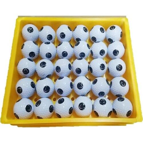 100pcs per lot top quality two pieces golf ball free shipping