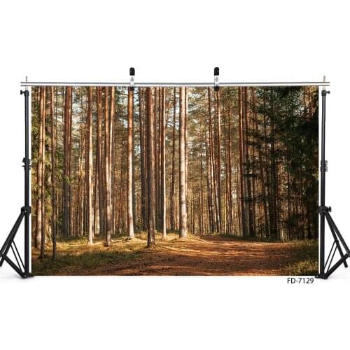 Pine Tree Forest Pathway Vinyl Cloth Photography Background Portrait Photographic Backdrops Photo Studio Photobooth for Portrait