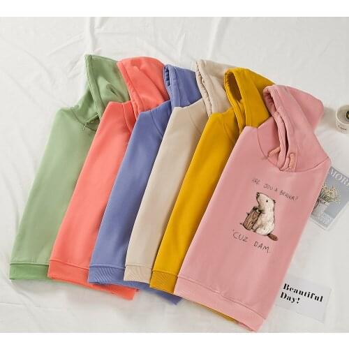 Ulzzang Harajuku Hoodies for Ladies Aesthetic Cute Hooded Tops Women Men Sweatshirt Long Sleeved Winter Plus Velvet Streetwear