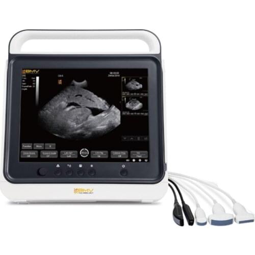 Veterinary medical vet ultrasound veterinaria ultrasonido