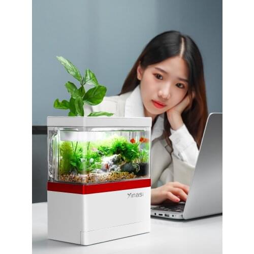 Mini fish tank The office sitting room Bedroom study Transparent glass Small aquarium tank aquarium decoration space acrylic