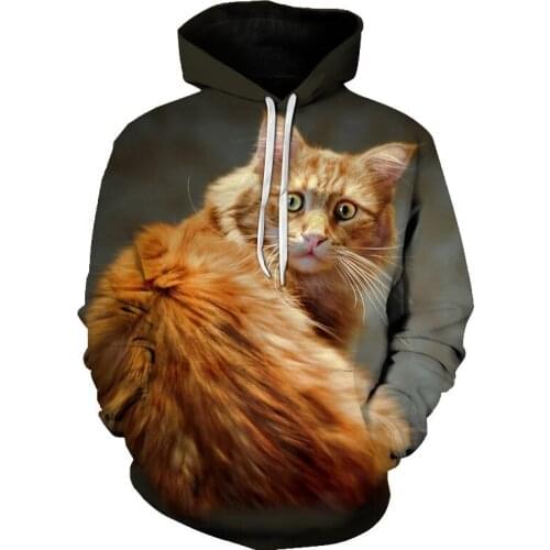 Popular 3D Orange cat fashion animal cute men and women hoodies spring autumn casual pullovers Harajuku sweatshirts Men clothing