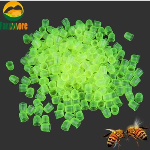 1000 Pcs / Lot Bee Queen Cell Cup Queen Bee Rearing Fertility Cell Incubation Breeding Beekeeping Equipment Apiculture Suppiles