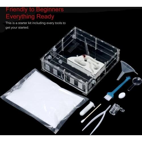 Ant Farm Starter Kit Ant Habitat Science Kit STEM Learning Educational Toy Kid Party Favor Science Gift Ant House with Sand