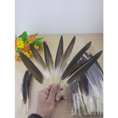 Wholesale 50 pc 6-9 inches / 15-22cm high quality natural pheasant feather, diy jewelry decoration