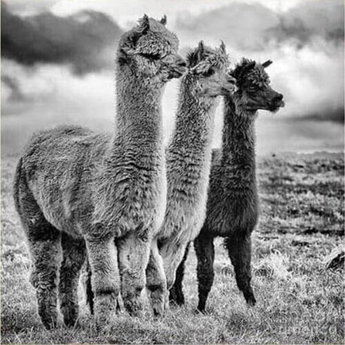 Yumeart 5D Diy Diamond Painting Three Alpacas Diamond Embroidery Animals Full Square Drill Creative Mosaic Stickers Decoration