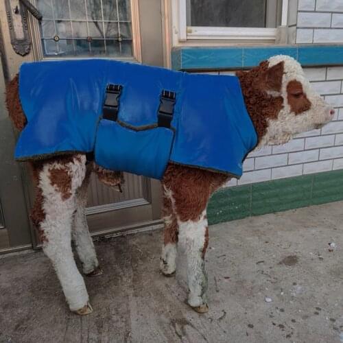 Livestocktool Travel Vests