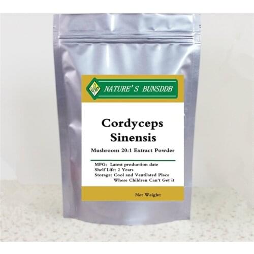 Certified Organic Cordyceps Sinensis Mushroom 20:1 Powder