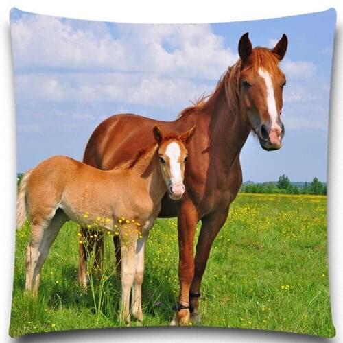 Square 5 size 9 style Fashion Cotton & polyester Horse mother and pony cute rabbit and pig Pillow Case Home Decorative sofa car