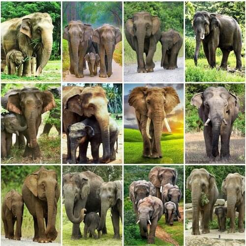 Evershine 5D DIY Diamond Painting Elephant Cross Stitch Mosaic Diamond Embroidery Sale Animals Rhinestone Pictures Home Decor