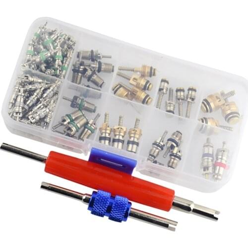 102 Pieces A/C System Schrader Valves with Dual Head Remover Tool Kit For R12/ R134A HVAC