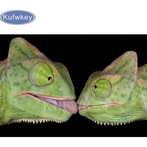 Diy Diamond Paintings cross stitch lizard Diamond Pattern Beadwork Pictures DIY Diamond Embroidery painting Diamond Mosaic