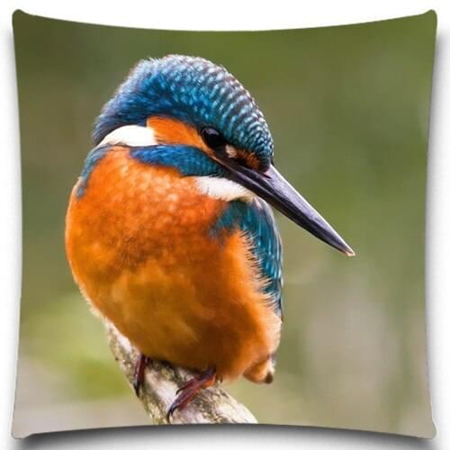 Animal series A shy and beautiful bird 2D print creative Pillow case Square cotton polyester cushion cover 5 size 9 style