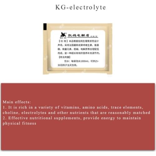 Electrolyte Vitamin Powder for Pigeons 5g Nutritional Supplement Parrot Trace Elements