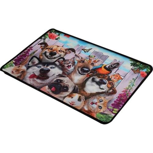 SR 40x60CM 3D Cartoon Animal Rug And Carpet For Home Livingroom Bedroom Carpets Anti-Slip Kitchen Bathroom Door Mat Toilet Mats