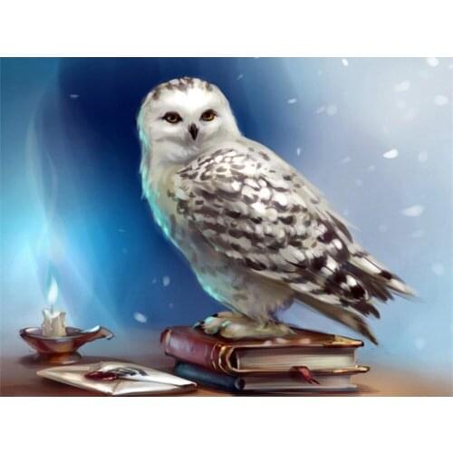 Mozaïek Uil Diamant Borduurwerk Muur Art Vierkante Dier Kruissteek Diamant Schilderen Slaapkamer Decor Handwerken Gift Feestelij