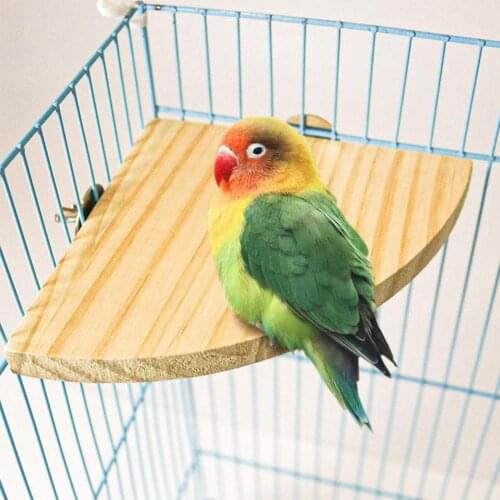 Parrot Platform Edge Wood Stable Fan-Shaped Springboard for Hamster Bird Perch Parrot Stand Platform Exercise Toy for Parrot