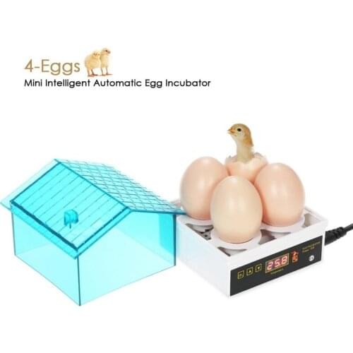 Digital Egg Incubator Chicken Pigeon Quail Brooder Temperature Hatching Poultry Hatcher Duck Bird Egg Machine Hatcher 110V/220V