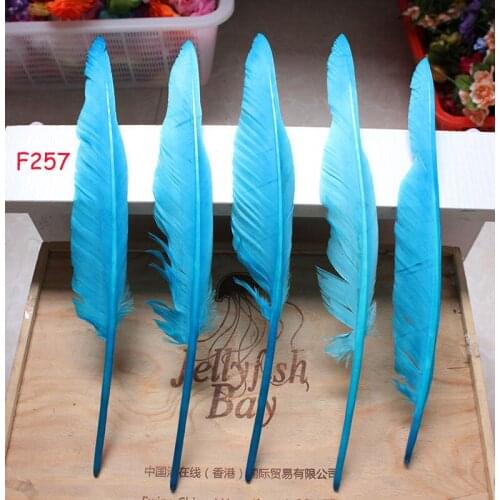 Wholesale 100pcs goose feather humpback 30-35cm/12-14inch /Lake blue
