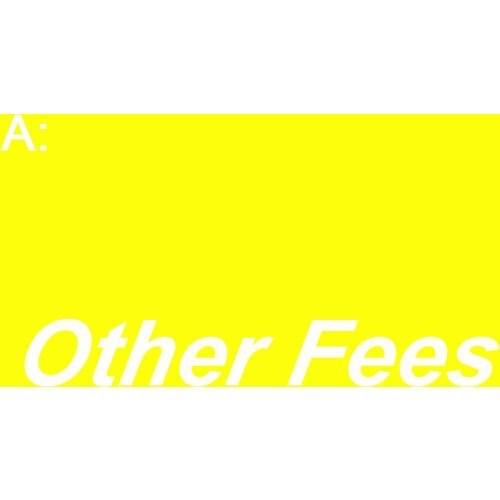 Other Fees