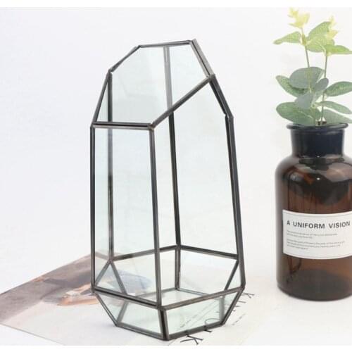 9.4in Height Indoor Tabletop Irregular Glass Geometric Air Plants Terrarium Box 517F