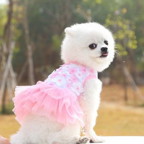 Pet Dog Skirt Cool Lovely Spring Summer Teddy Bichon Peach Floral Cotton Lace Medium Small Clothing Pet Supplies