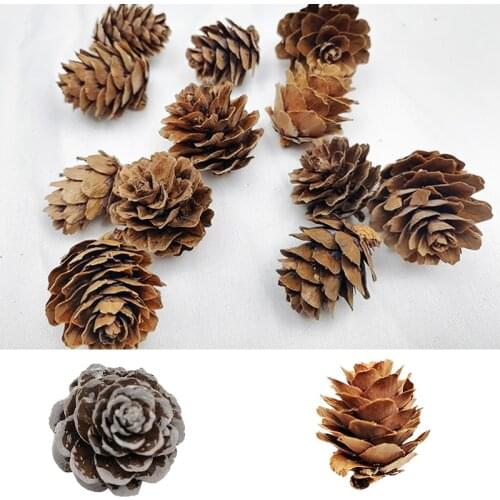 10Pcs Natural Dried Plants Pine Cone Artificial Flower For Home Christmas Decor DIY Garland Wreath Wedding Decoration Wholesale
