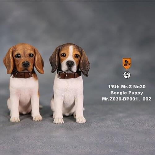 Mr.z 1/6 Beagle Puppy Model Small Simulation Animal Decoration Cute Dog Hand-made Model To Play Car Desk Collection Souvenir