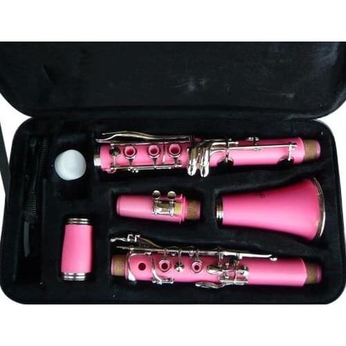 BRAND NEW PINK CONCERT BAND CLARINET W/CASE. WARRANTY