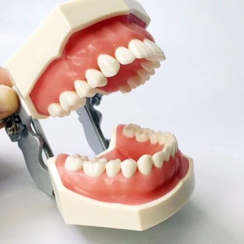 M8011 Standard Tooth Model with 28 Screw-in Teeth & M8024 Replacement Teeth 28*1 Nissin 500 Compatible