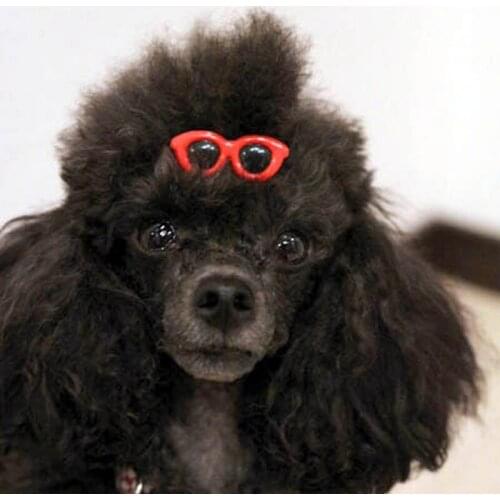 10pcs/Set Lovely Dress Up Pet Sunglasses Hairpins Pet Dog Bows Hair Clips for Puppy Dogs Cat Yorkie Teddy Pet Hair Decor