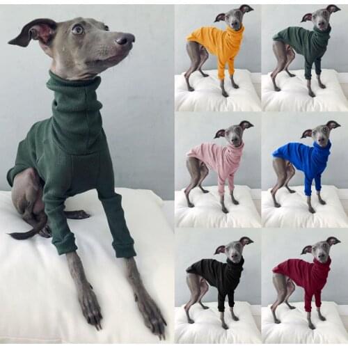 Spring solid color high neck thread two-legged greyhound simple stretch dog clothes small and medium dog clothes four seasons