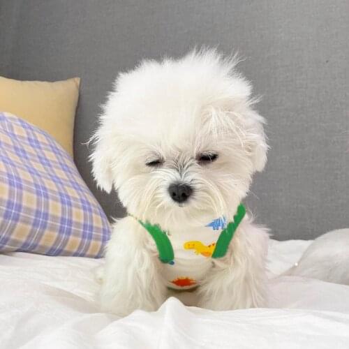 Ins Summer thin pet dinosaur print T-shirt puppy dog clothes Teddy Bichon Pomeranian Schnauzer VIP small dog four-legged clothes