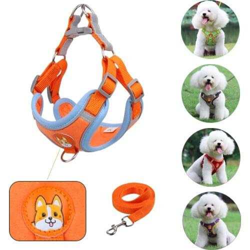 Cute Dog Harness With Leash Small Medium Large Dogs Reflective Harnesses For Walking With Personable Lovely LOGO Pet Accessories