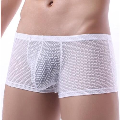 Mens Boxer Men Panties See-Through Gay Underwear Sexy Mesh Male Underpants Lingerie High Quality Transparent Homme Boxershorts