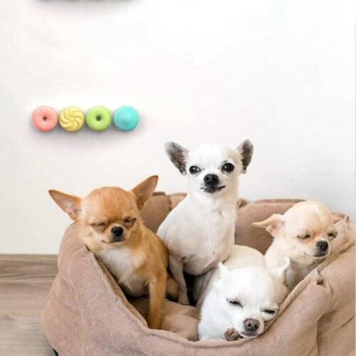 4 Pcs Air Freshener for Dogs Cats Litter Shoe Cabinet Toilet Removing Odor Pets Doughnut Shaped Deodorant Perfume Container