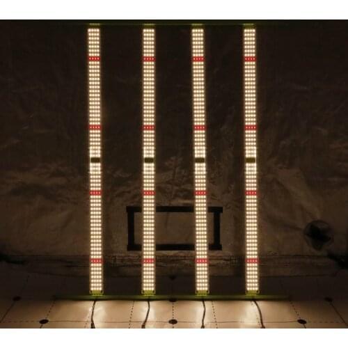 Kingbrite 480W LM301B/LM301H bar with CREE XP-E2 660nm bar Grow light for 4*4 ft tent
