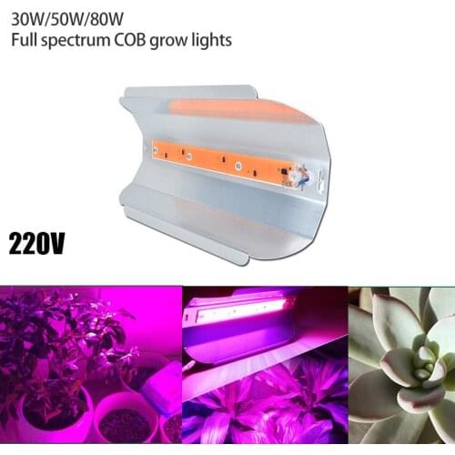 220V COB LED Grow Light indoor outdoor waterproof plant lamp aluminum Flower greenhouse vegetable cultivo room garden box
