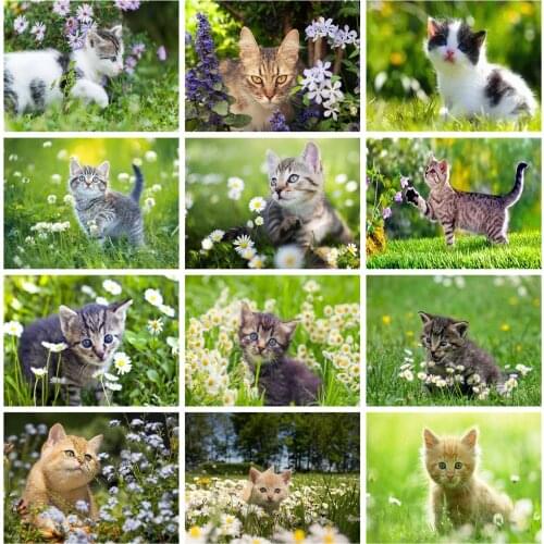 Huacan 5d DIY Diamond Painting Full Square Cat Animals Diamond Embroidery Mosaic Flower Picture Of Rhinestones Gift