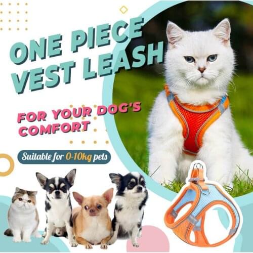 One-Piece Vest Dog Harness Leash Set Breathable Reflective Cat Light Weight Night Walking Velcro Quick Release Dropshipping