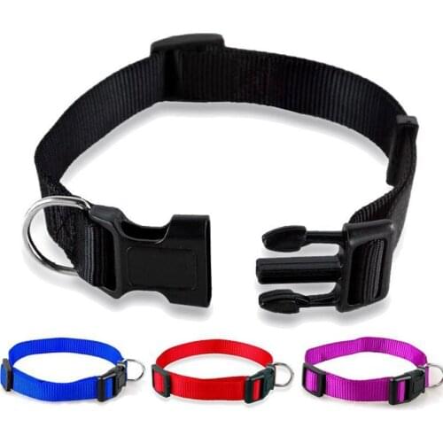 Nylon Pet Collar Harness Small Dog Adjustable Buckle Dog Collars Puppy Simple Solid Neck Strap Pet Dog Accessories Pet Supplies
