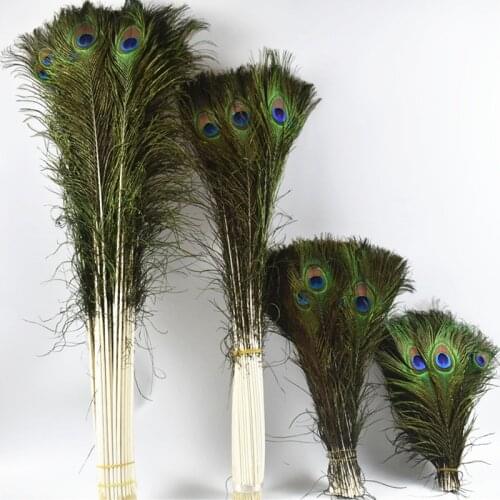 50 Pcs/Lot Natural Real Peacock Feathers for Crafts 25-80cm Peacock Feather Home Hotel Decor Wedding Decoration Plumes plumas