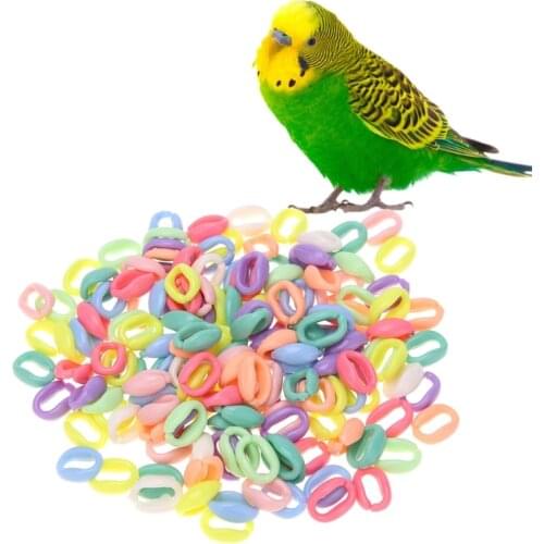 100Pcs/Pack Colorful Parrot Foot Toys C Chain Links Bird Stand Chain Bite Chew Play Toy Bird DIY Clips Hooks Handcraft