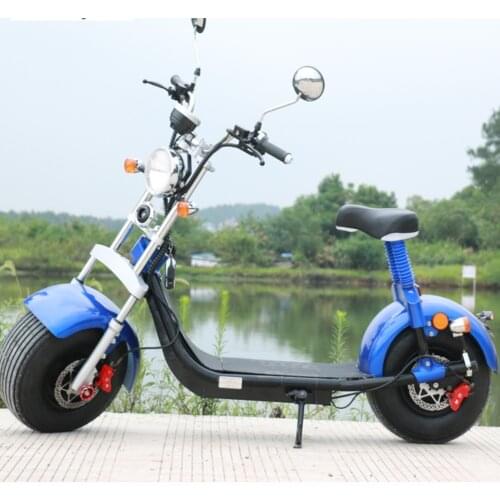 SC10 Factory Eec Coc Approved 1500W 60V 20AH Electric Citycoco Motorcycle 40KM/H Range 50km