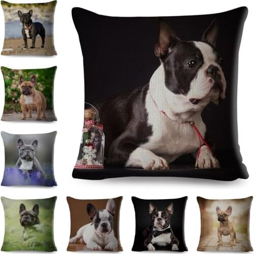 Cute England Pit Bull Terrier Dog Cushion Cover for Sofa Home Car 45*45cm Animal Printed Pillowcase Decor Pet Dog Pillow Case